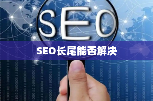 SEO长尾能否解决